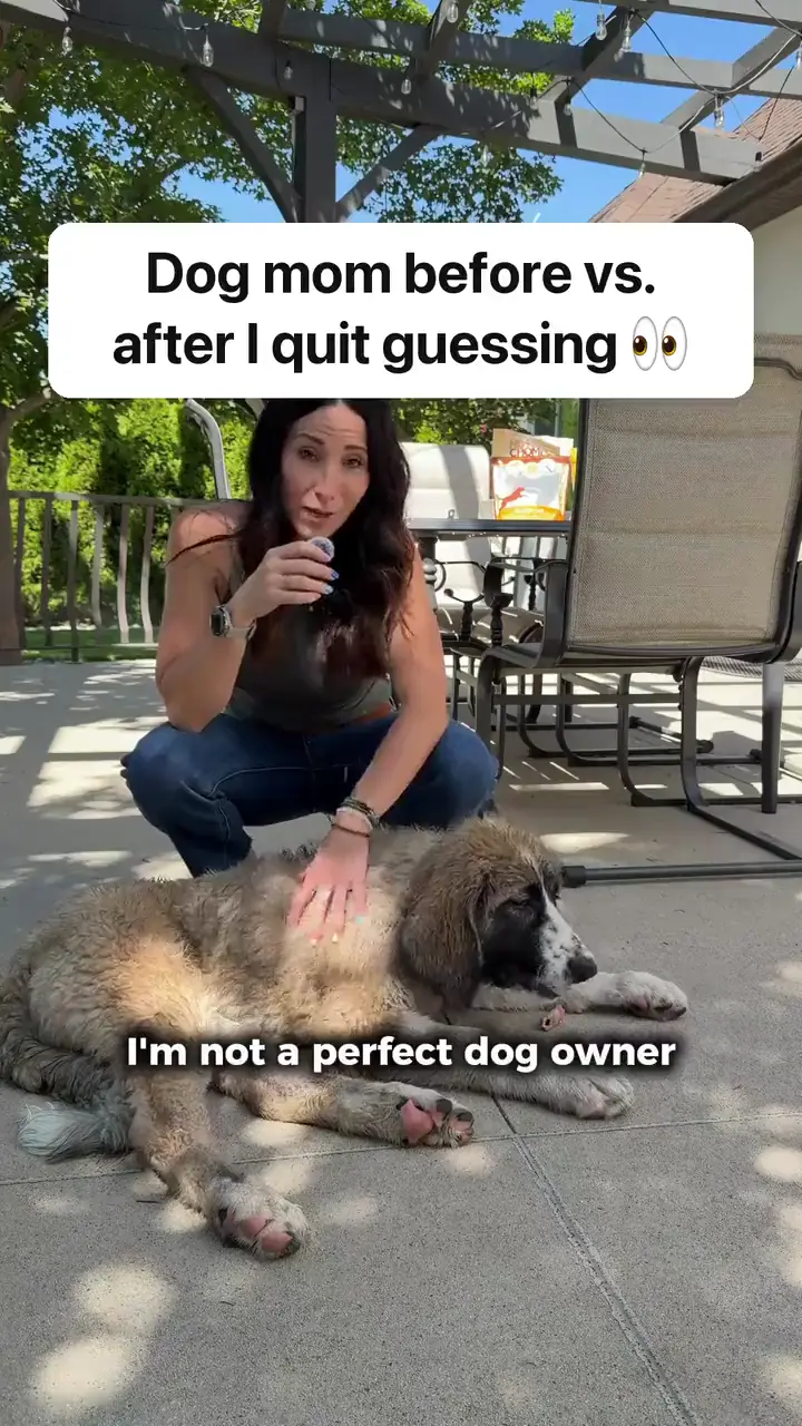 Maskots ad: Dog mom before vs. after I quit guessing.