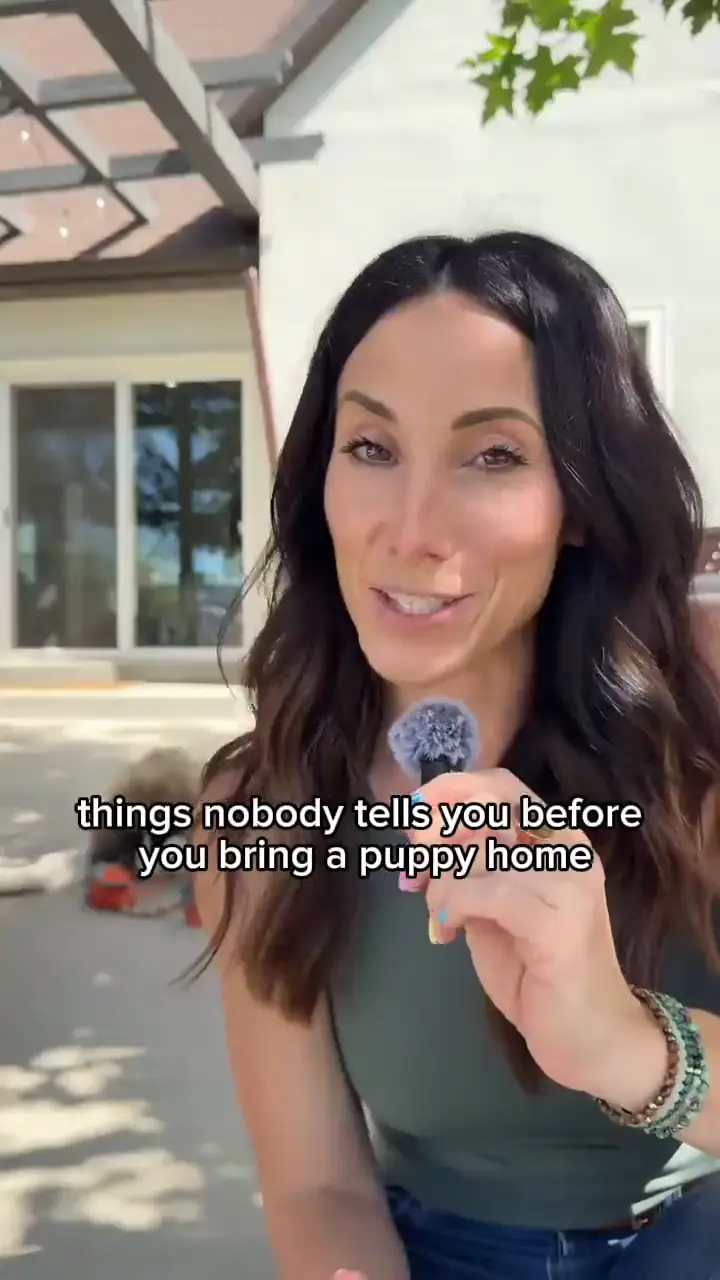 Maskots ad: Things they don't mention before you get a puppy.